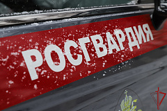 Оперативаня информация от УВО Росгвардии по Москве на 29 июня 2026
