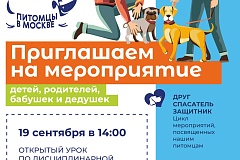 Открытый урок по дрессировке с кинологом пройдёт в парке имени Юрия Лужкова