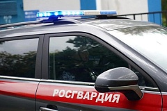 Сотрудники Росгвардии задержали неплательщика алиментов в Москве