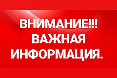 Содержание домашних животных в условиях мегаполиса