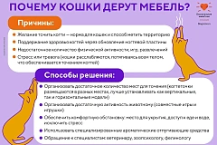 Памятки по актуальным вопросам обращения с животными